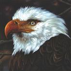 Mogwai "The Hawk Is Howling LP WHITE"